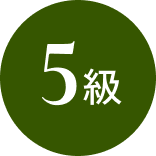 5級