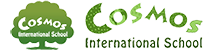 Cosmos International School