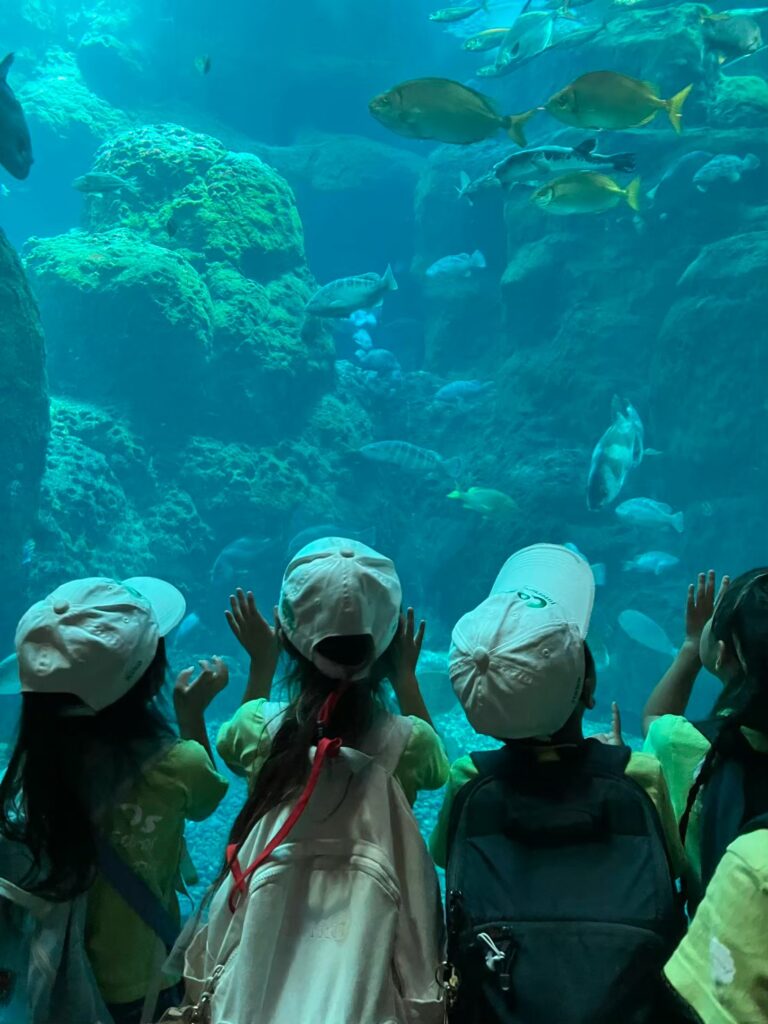 新江ノ島水族館の大水槽で海の生き物を熱心に観察するコスモスインターナショナルスクールの子どもたち